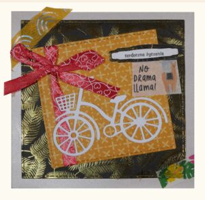 Ozdobna kartka, motywy: na środku rower, obok napis: „serdeczne życzenia”.